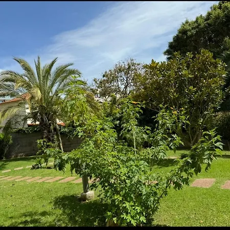 Garajau Madeira Holidays בית אירוח *